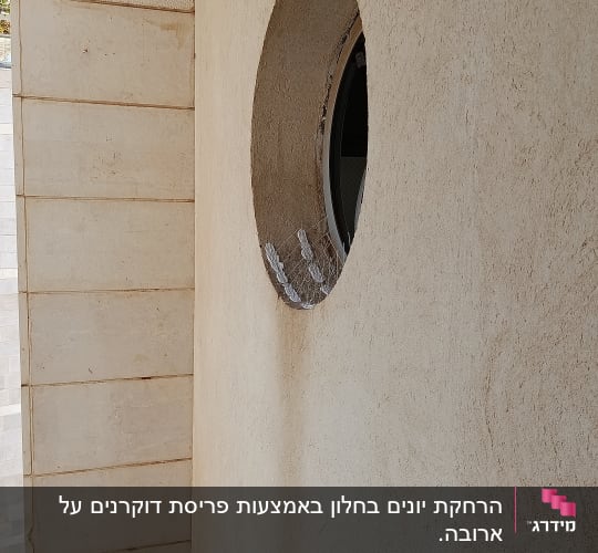 רשת מתכת עגולה על חלון למניעת יונים